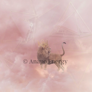Lion on Pink Clouds