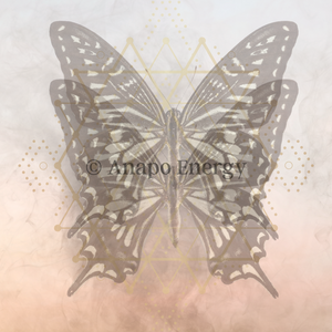 Multi Dimensional Butterfly